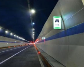 91看片在线视频