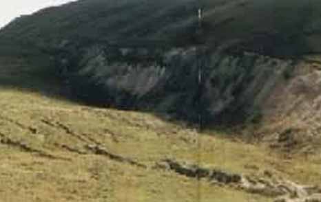 甘肅工程91看片淫黄大片